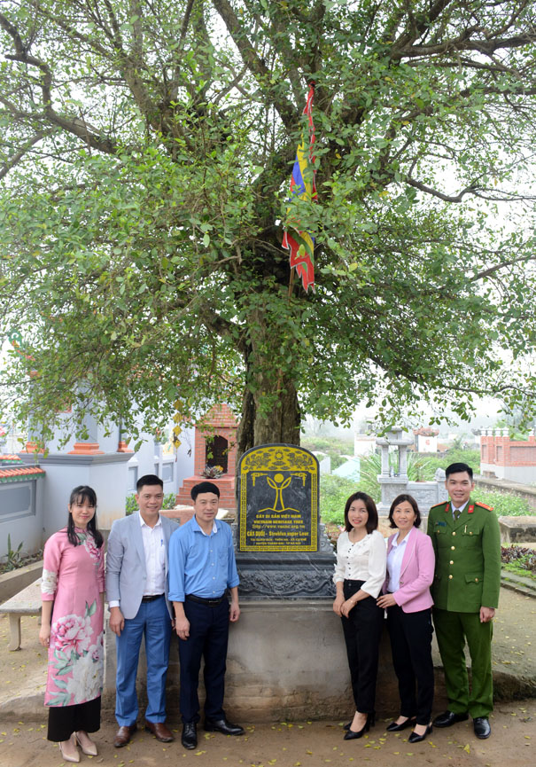 [-]Làng[-]Khê[-]Tang[-]lần[-]thứ[-]2[-]đón[-]nhận[-]Cây[-]Di[-]sản[-]Việt[-]Nam